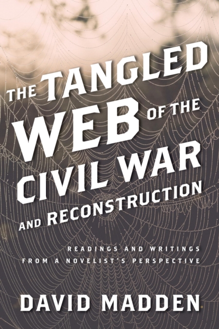 Tangled Web of the Civil War and Reconstruction : Readings and Writings from a Novelist's Perspective, EPUB eBook