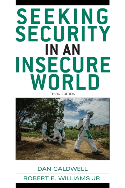 Seeking Security in an Insecure World, EPUB eBook