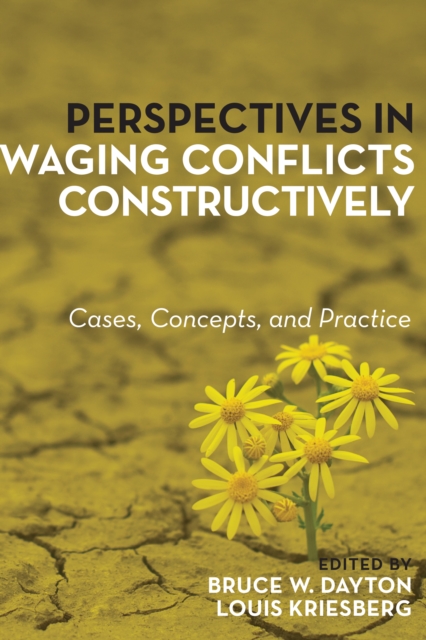 Perspectives in Waging Conflicts Constructively : Cases, Concepts, and Practice, Hardback Book