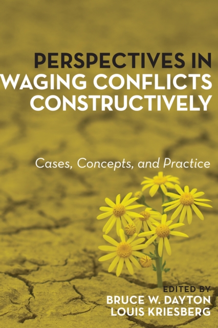 Perspectives in Waging Conflicts Constructively : Cases, Concepts, and Practice, Paperback / softback Book