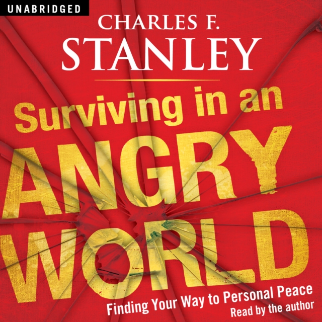 Surviving in an Angry World : Finding Your Way to Personal Peace, eAudiobook MP3 eaudioBook