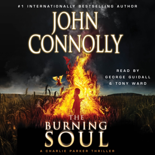 Burning Soul, eAudiobook MP3 eaudioBook