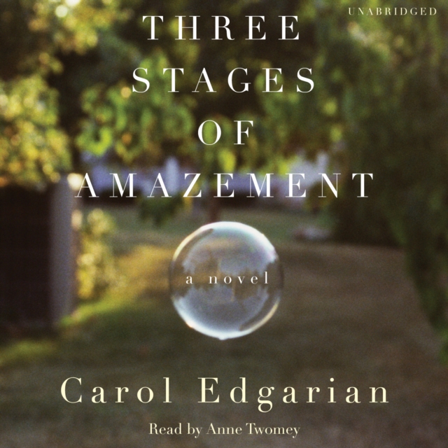 Three Stages of Amazement : A Novel, eAudiobook MP3 eaudioBook