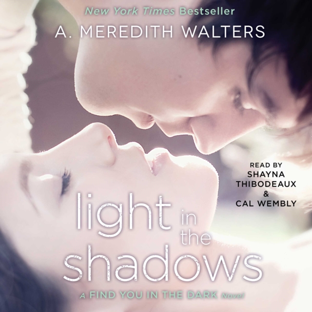 Light in the Shadows, eAudiobook MP3 eaudioBook