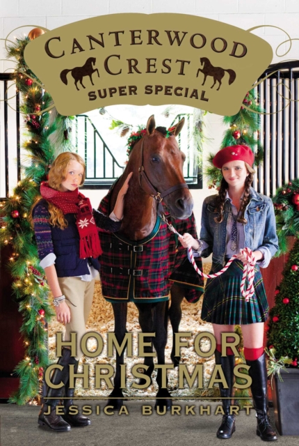 Home for Christmas : Super Special, EPUB eBook