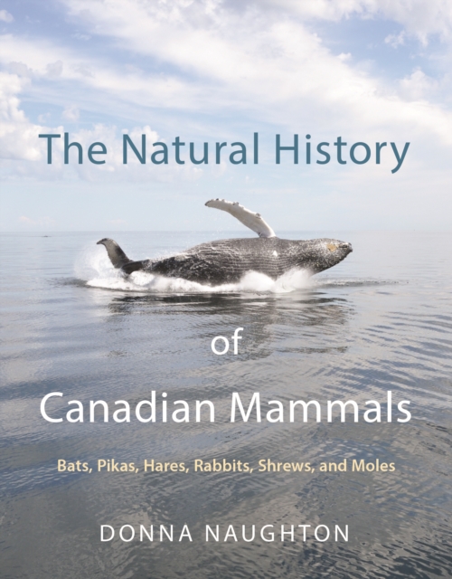 The Natural History of Canadian Mammals : Bats, Pikas, Hares, Rabbits, Shrews, and Moles, EPUB eBook