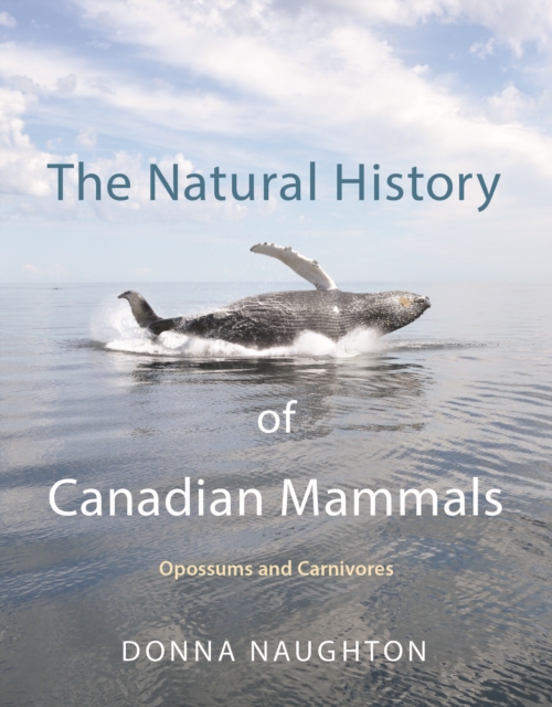 The Natural History of Canadian Mammals : Opossums and Carnivores, EPUB eBook