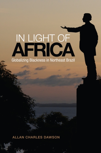 In Light of Africa : Globalizing Blackness in Northeast Brazil, Paperback / softback Book