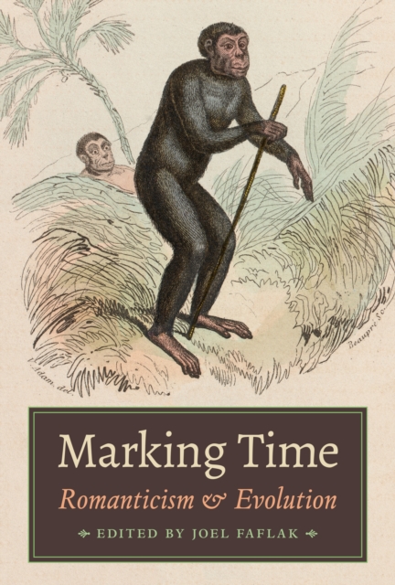 Marking Time : Romanticism and Evolution, Hardback Book