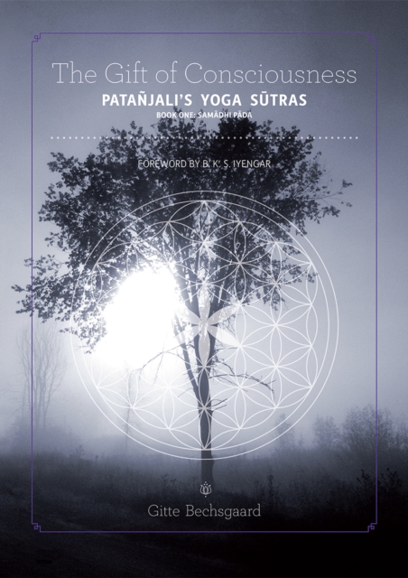 The Gift of Consciousness : Patanjali's Yoga Sutras (Book One: Samadhi Pada), PDF eBook