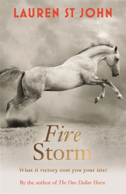 Fire Storm : Book 3, Hardback Book