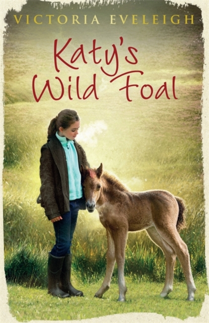 Katy's Exmoor Ponies: Katy's Wild Foal : Book 1, Paperback / softback Book