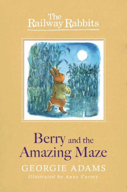 Berry and the Amazing Maze : Book 12, EPUB eBook
