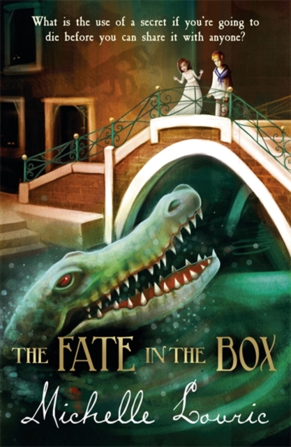 The Fate in the Box, EPUB eBook