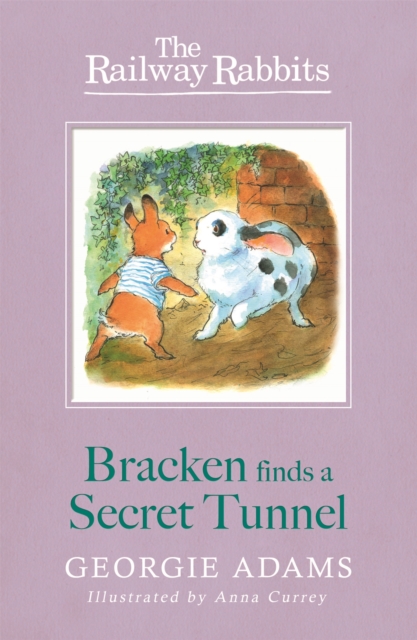Railway Rabbits: Bracken Finds a Secret Tunnel : Book 5, Paperback / softback Book