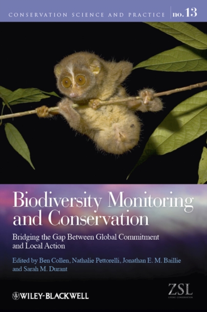 Biodiversity Monitoring and Conservation : Bridging the Gap Between Global Commitment and Local Action, Paperback / softback Book