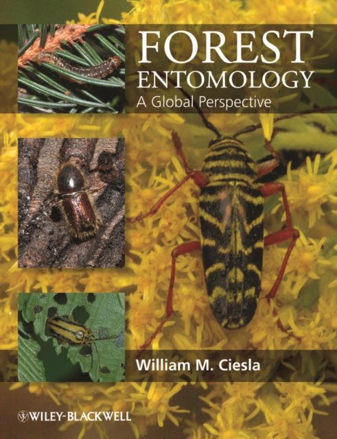 Forest Entomology : A Global Perspective, Hardback Book