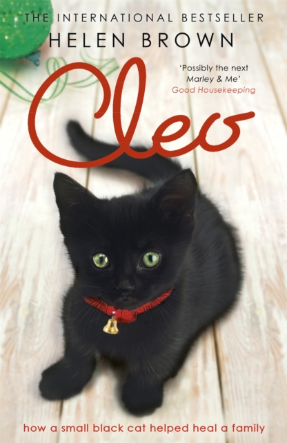 Cleo : How a small black cat helped heal a family, Paperback / softback Book