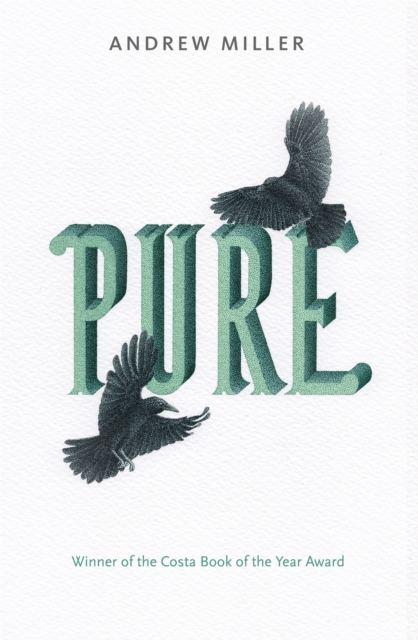 Pure, Paperback / softback Book