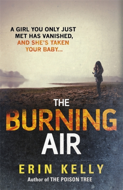 The Burning Air, Hardback Book