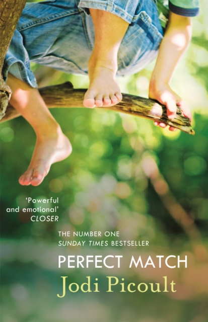 Perfect Match : the international bestseller about the strength of a mother's love, Paperback / softback Book