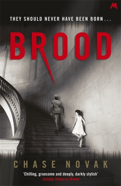 Brood, Paperback / softback Book