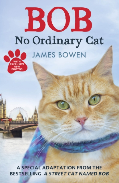 Bob : No Ordinary Cat, EPUB eBook