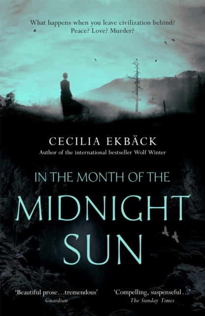 In the Month of the Midnight Sun, Paperback / softback Book