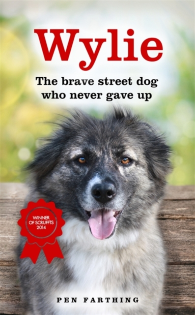 Wylie : The Brave Street Dog Who Never Gave Up, Paperback / softback Book