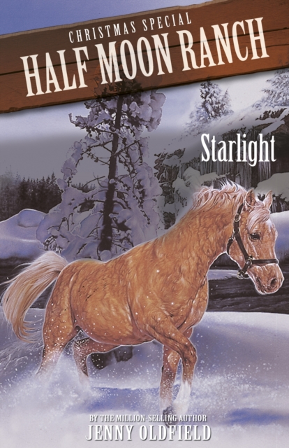 Christmas Special: Starlight, EPUB eBook
