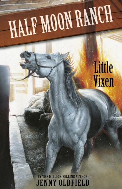 Little Vixen : Book 10, EPUB eBook