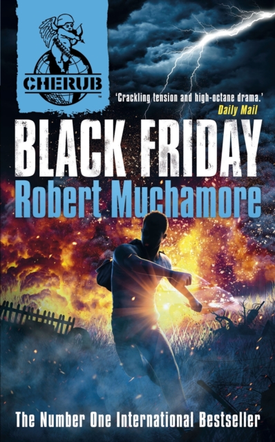 Black Friday : Book 15, EPUB eBook