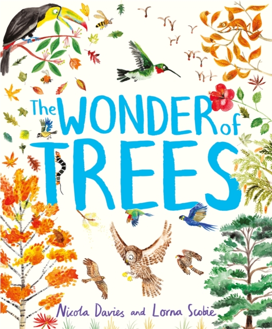 The Wonder of Trees, Hardback Book