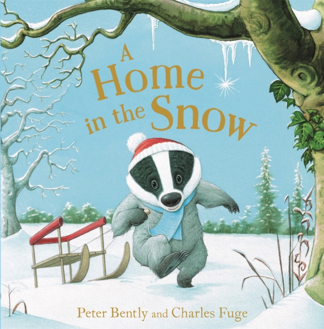A Home in the Snow, Paperback / softback Book