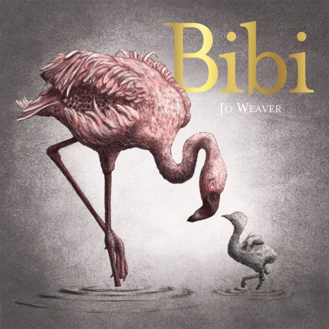 Bibi : A flamingo's tale, Hardback Book