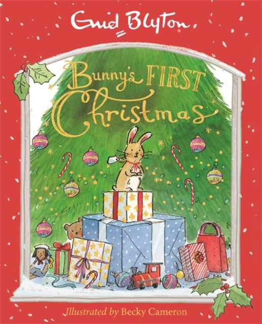 Bunny's First Christmas, Hardback Book