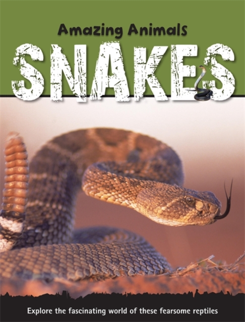 Snakes, Hardback Book