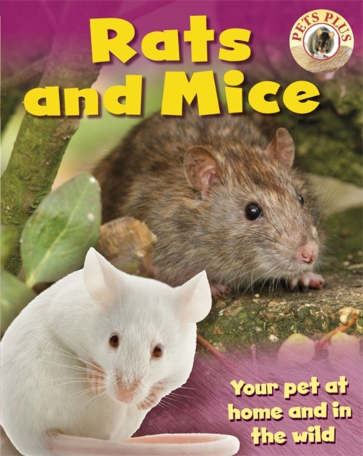 Rats and Mice, Hardback Book