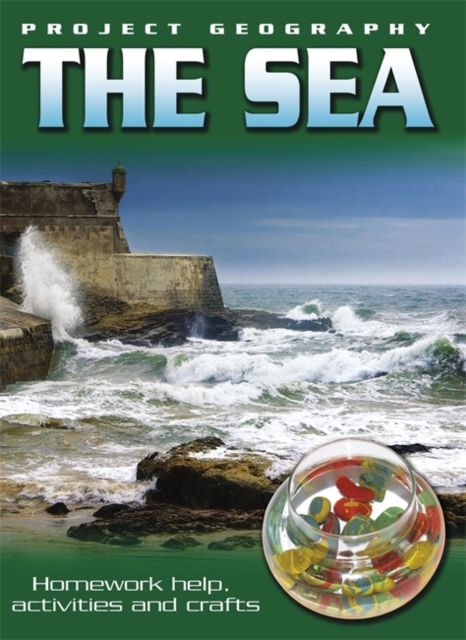 The Sea, Paperback Book