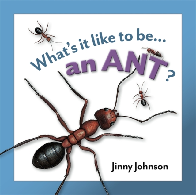 An Ant?, Hardback Book