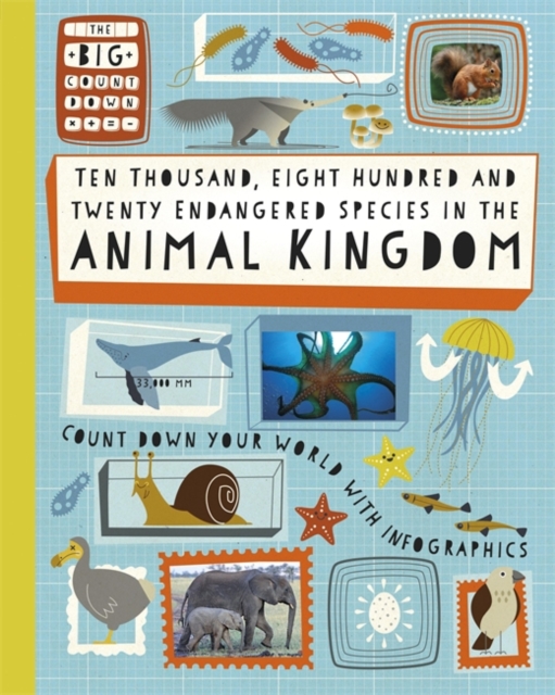 The Big Countdown: Ten Thousand, Eight Hundred and Twenty Endangered Species in the Animal Kingdom, Hardback Book