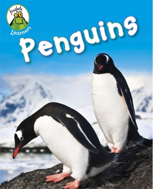 Penguins, Hardback Book