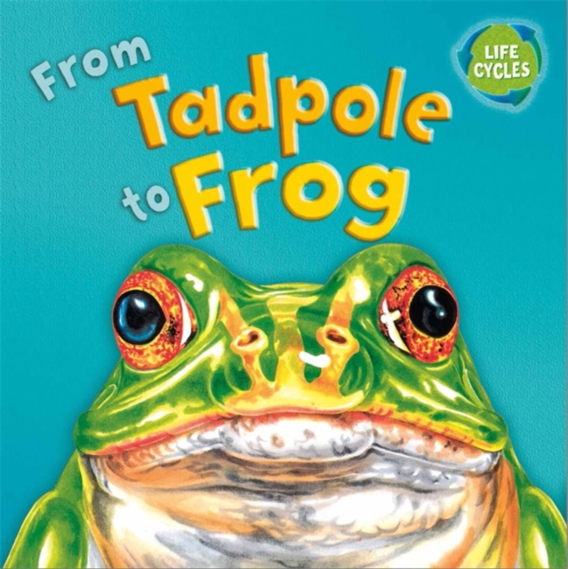 From Tadpole to Frog, Paperback Book