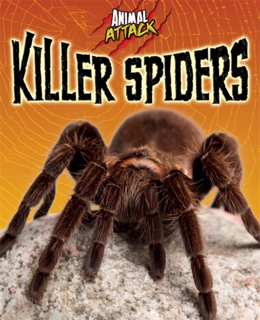 Killer Spiders, Paperback Book