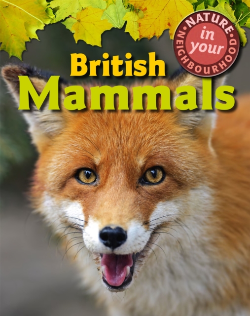 Nature in Your Neighbourhood: British Mammals, Paperback / softback Book