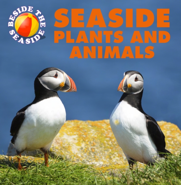 Beside the Seaside: Seaside Plants and Animals, Paperback / softback Book