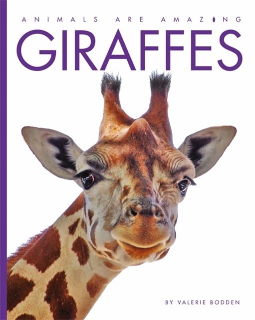 Animals Are Amazing: Giraffes, Hardback Book