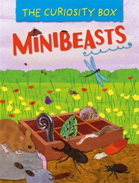 The Curiosity Box: Minibeasts, Hardback Book