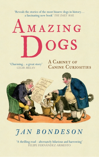 Amazing Dogs : A Cabinet of Canine Curiosities, EPUB eBook