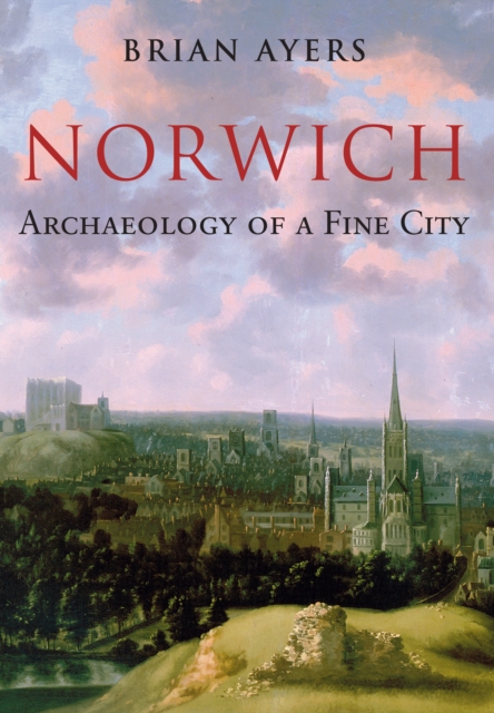 Norwich Archaeology of a Fine City, EPUB eBook
